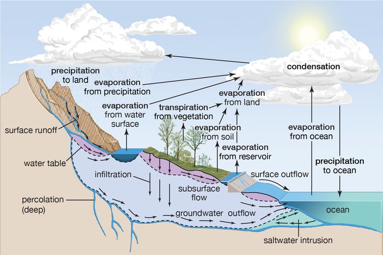 Siklus Hidrologi | GEOVOLCAN | Geografi SMA Kelas 10 ...