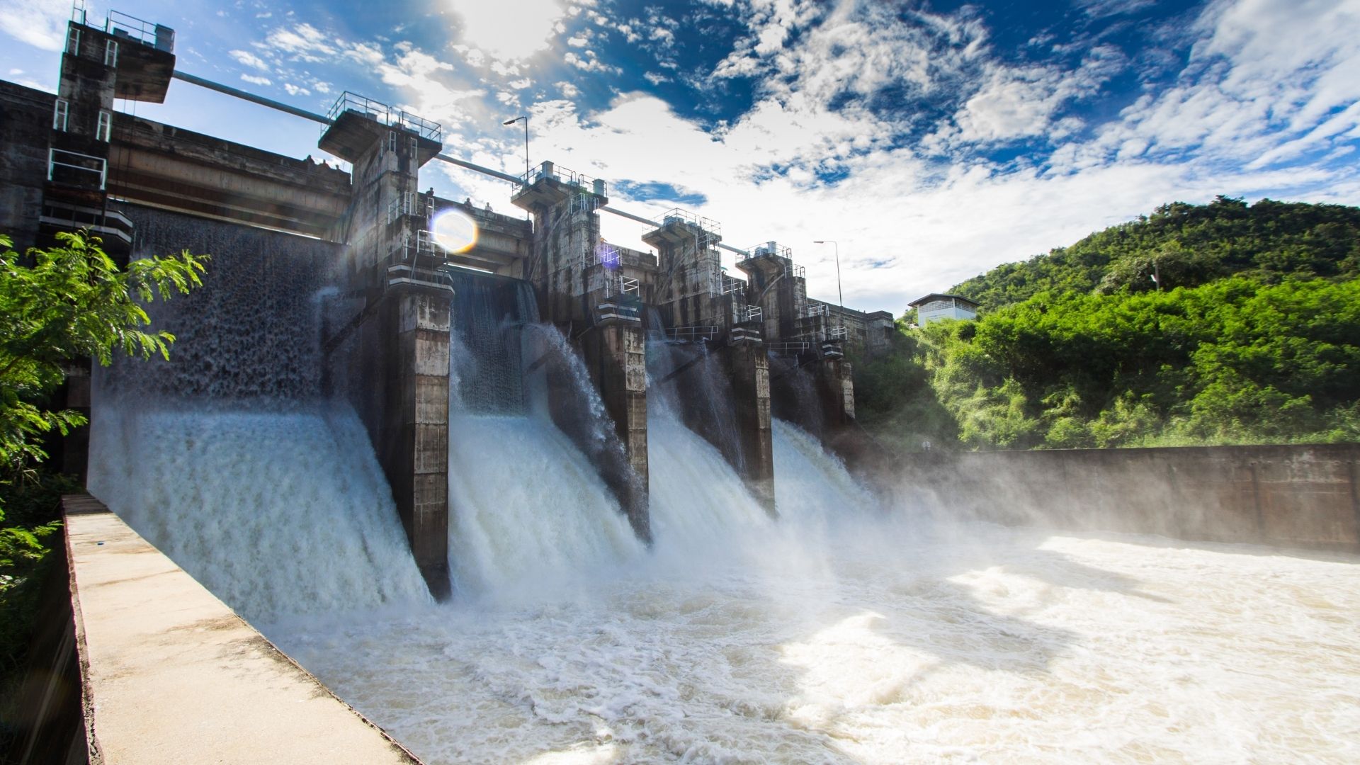 This Organisation Is Removing Dams and Restoring Rivers